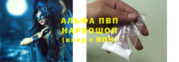 прущий лед Алзамай