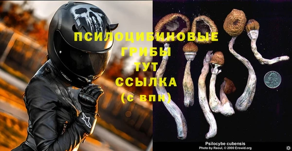 ПСИЛОЦИБИНОВЫЕ ГРИБЫ Абинск