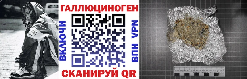 hydra ТОР  Энгельс  Галлюциногенные грибы Psilocybe 